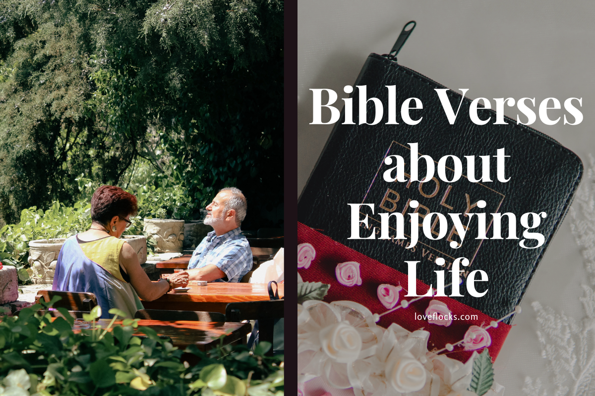 Bible Verses About Enjoying Life - LoveFlocks