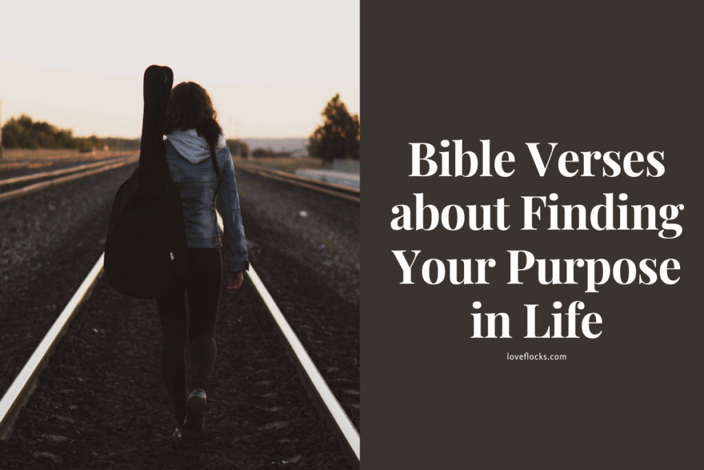Bible Verses about Finding Your Purpose in Life