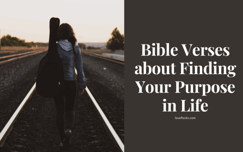 Bible Verses about Finding Your Purpose in Life