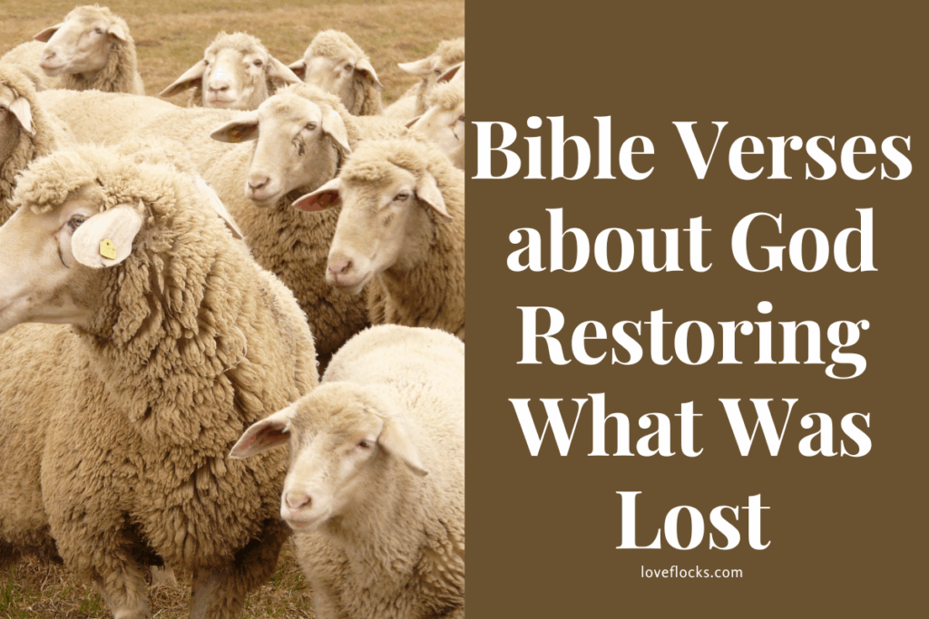 Bible Verses about God Restoring What Was Lost