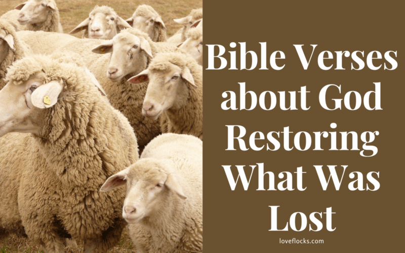 Bible Verses about God Restoring What Was Lost