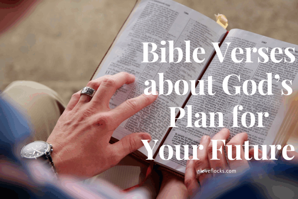 Bible Verses about God's Plan for Your Future