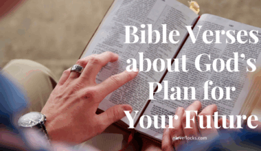 Bible Verses about God's Plan for Your Future