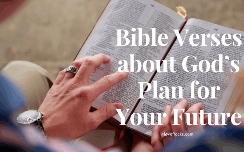 Bible Verses about God's Plan for Your Future