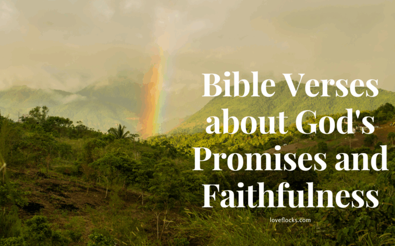 Bible Verses about God's Promises and Faithfulness
