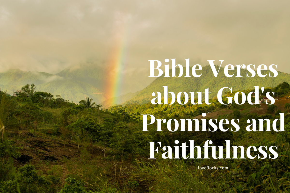 Bible Verses About God's Promises And Faithfulness - LoveFlocks