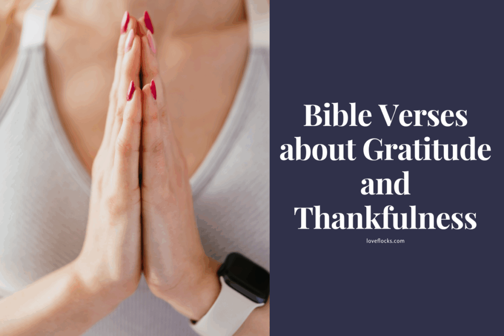 Bible Verses about Gratitude and Thankfulness