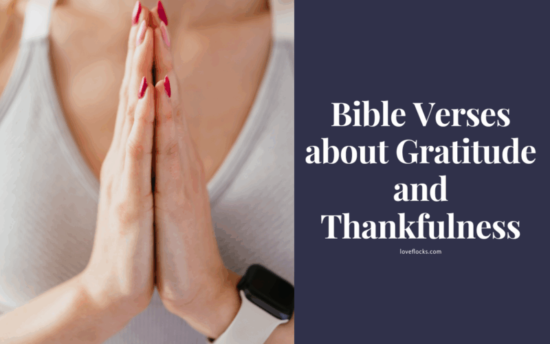 Bible Verses about Gratitude and Thankfulness