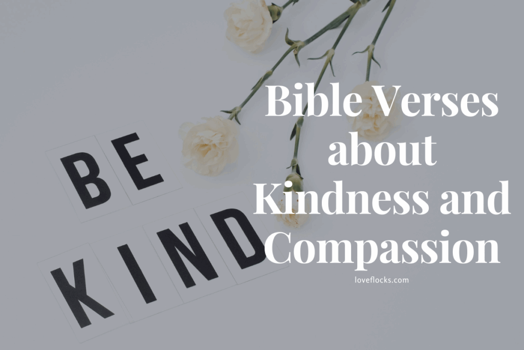 Bible Verses about Kindness and Compassion