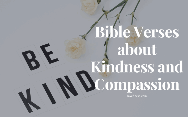 Bible Verses about Kindness and Compassion