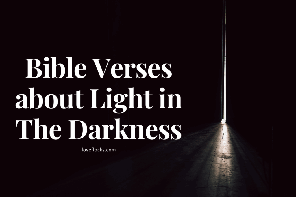 Bible Verses about Light in The Darkness