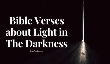 Bible Verses about Light in The Darkness
