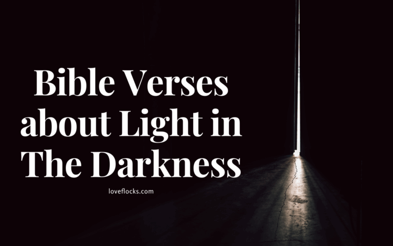 Bible Verses about Light in The Darkness