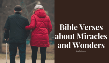 Bible Verses about Miracles and Wonders