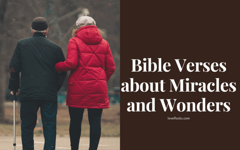 Bible Verses about Miracles and Wonders