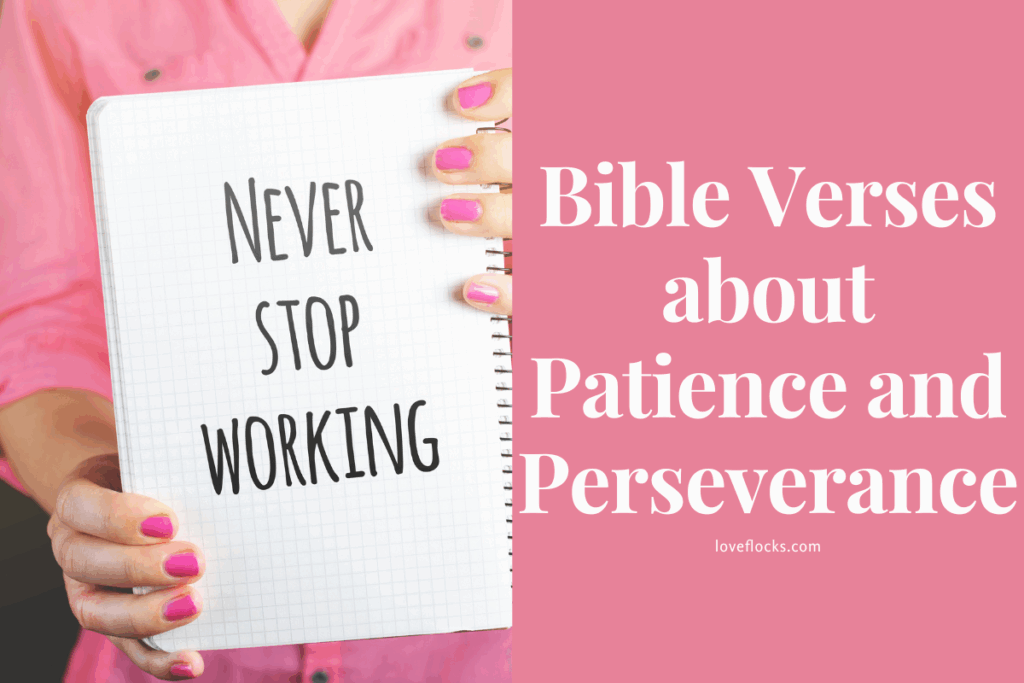 Bible Verses about Patience and Perseverance