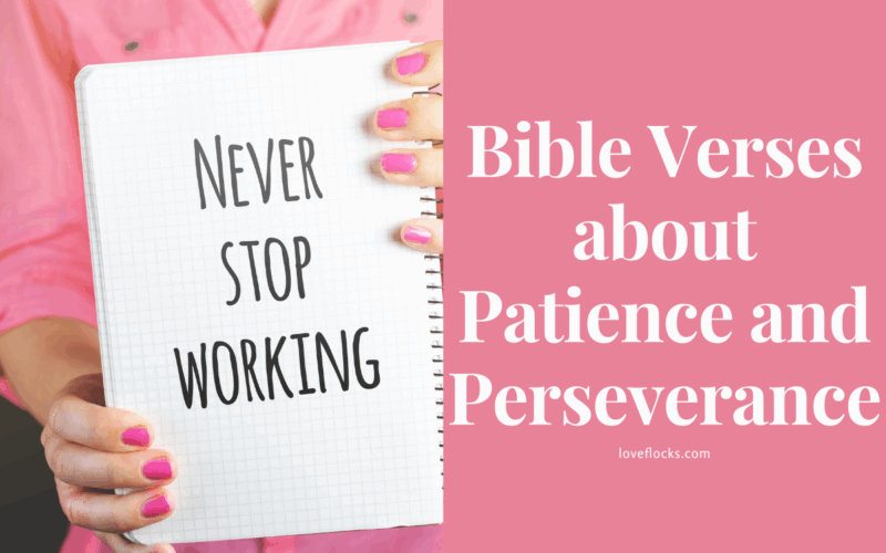 Bible Verses about Patience and Perseverance