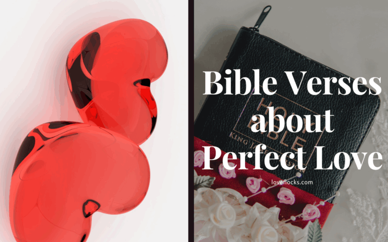 Bible Verses about Perfect Love