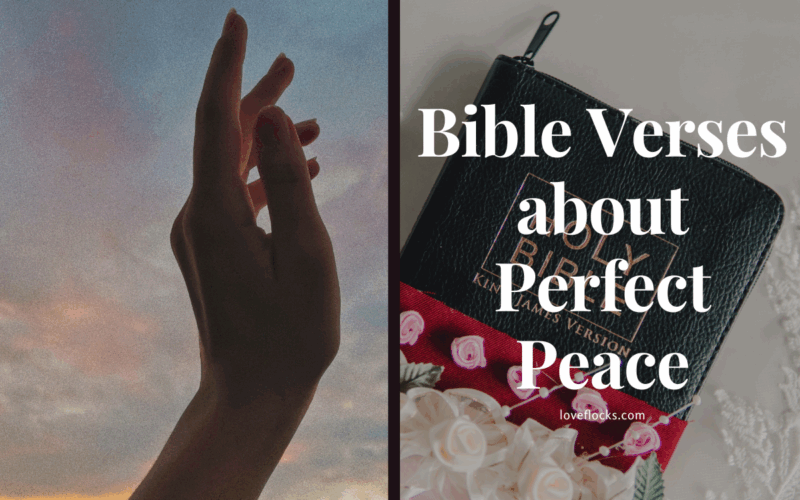 Bible Verses about Perfect Peace