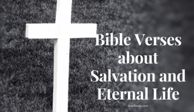 Bible Verses about Salvation and Eternal Life