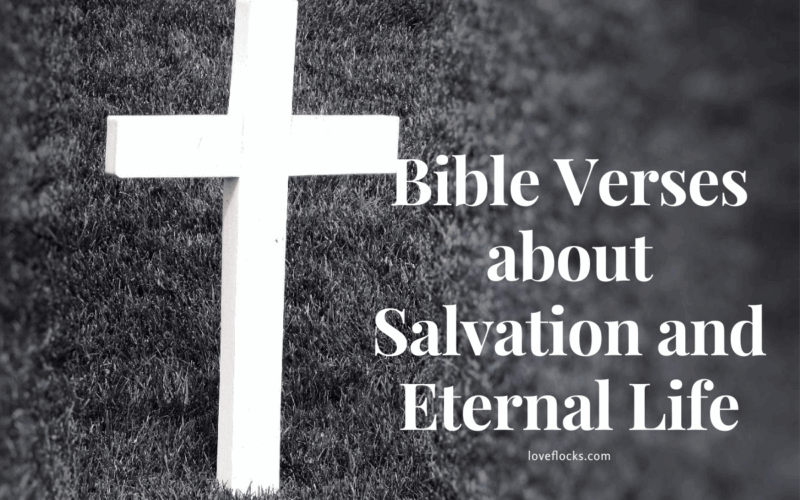 Bible Verses about Salvation and Eternal Life