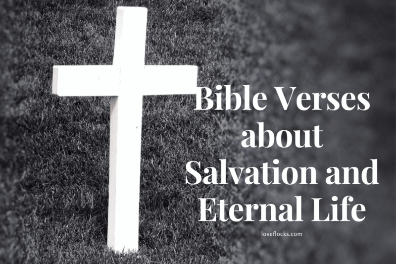 Bible Verses About Salvation And Eternal Life - LoveFlocks