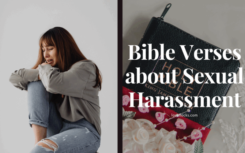 Bible Verses about Sexual Harassment