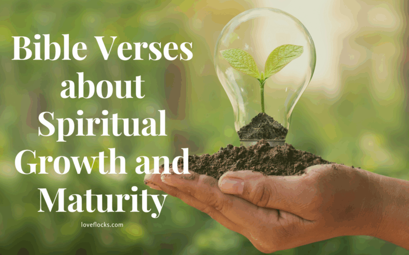 Bible Verses about Spiritual Growth and Maturity