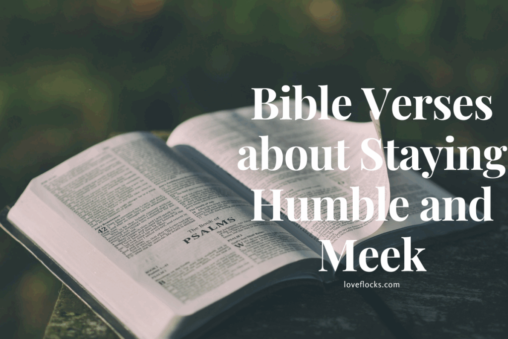 Bible Verses about Staying Humble and Meek
