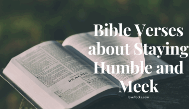 Bible Verses about Staying Humble and Meek