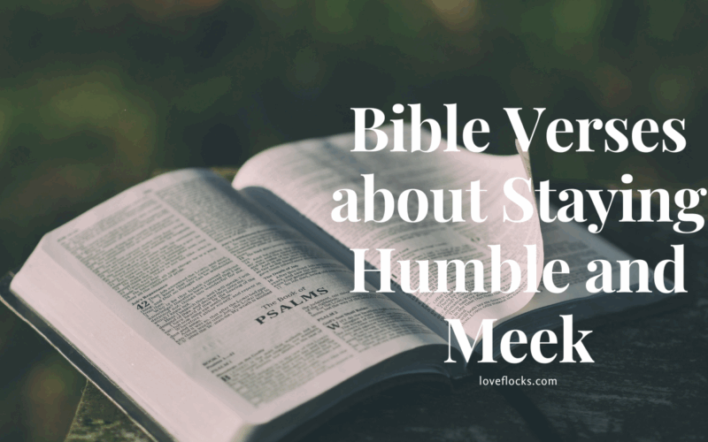 Bible Verses about Staying Humble and Meek
