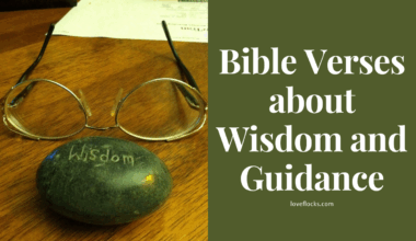 Bible Verses about Wisdom and Guidance