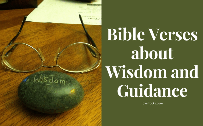 Bible Verses about Wisdom and Guidance