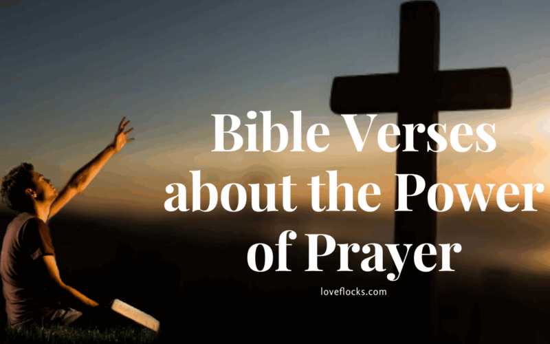 Bible Verses about the Power of Prayer