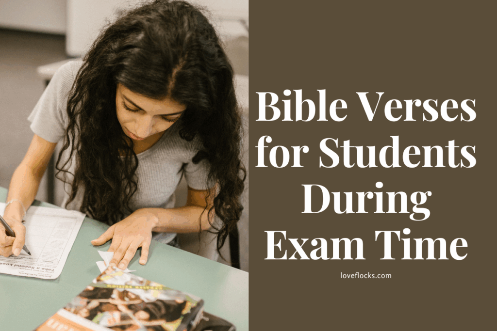 Bible Verses for Students During Exam Time