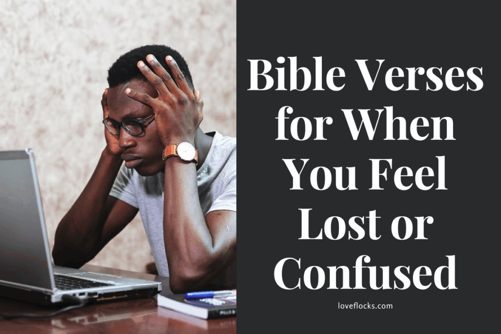 Bible Verses for When You Feel Lost or Confused