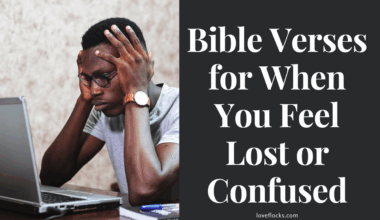 Bible Verses for When You Feel Lost or Confused