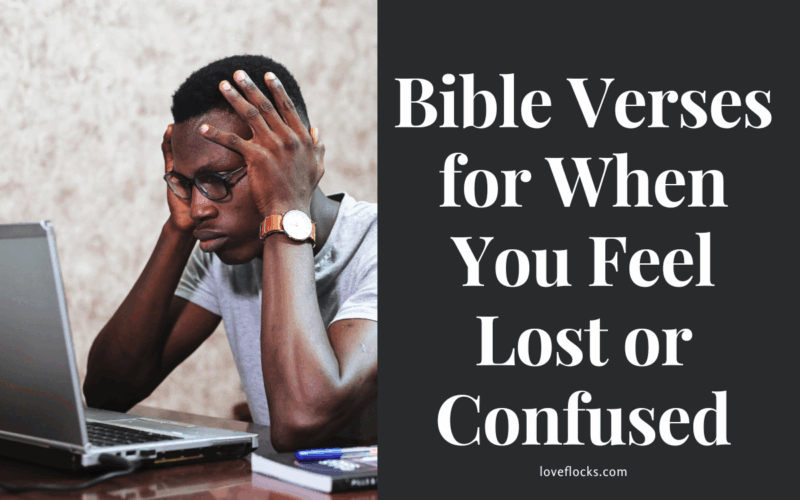 Bible Verses for When You Feel Lost or Confused