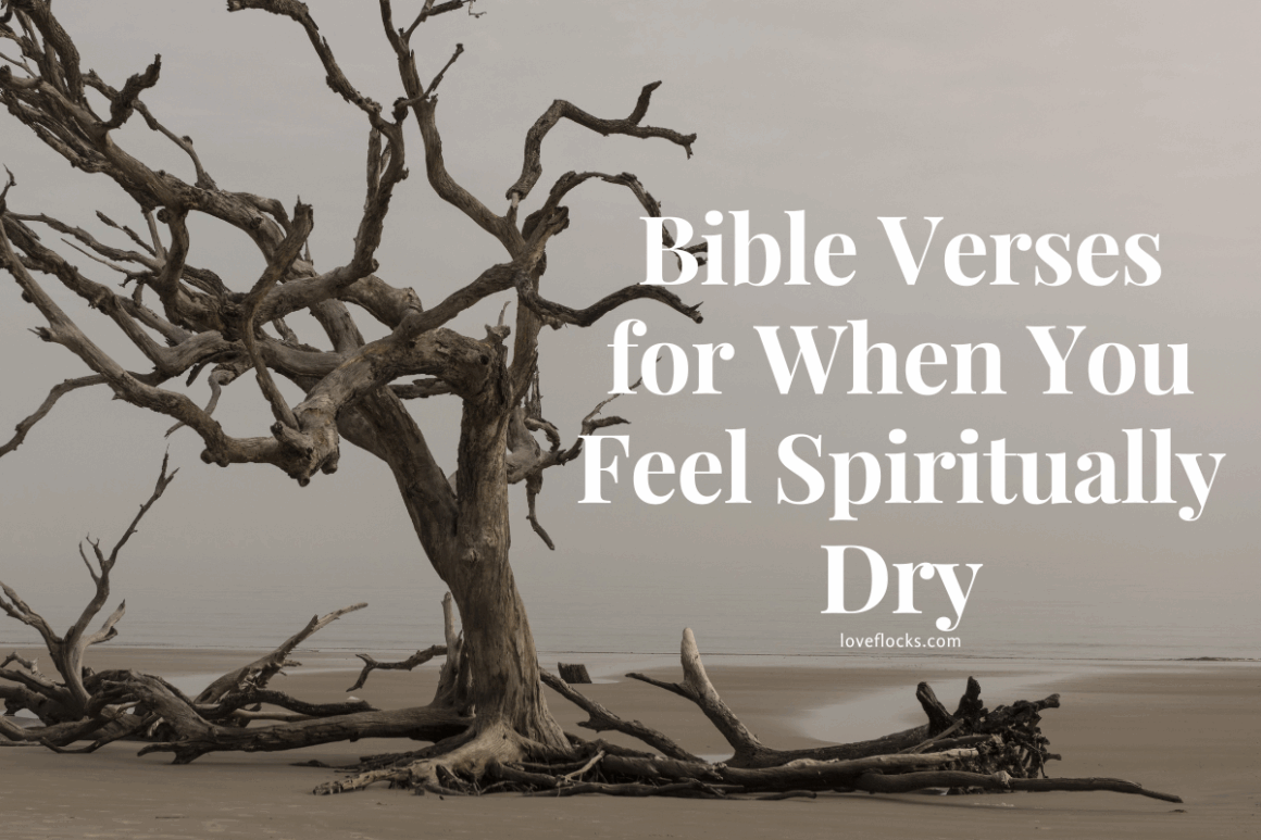 Spiritually Bible Verses For When You Feel Spiritually Dry - LoveFlocks