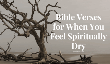 Bible Verses for When You Feel Spiritually Dry