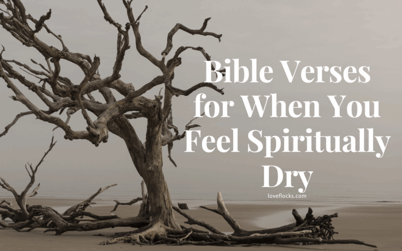 Bible Verses for When You Feel Spiritually Dry