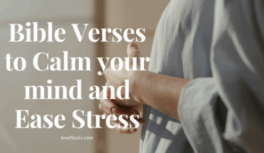 Bible Verses to Calm your mind and Ease Stress