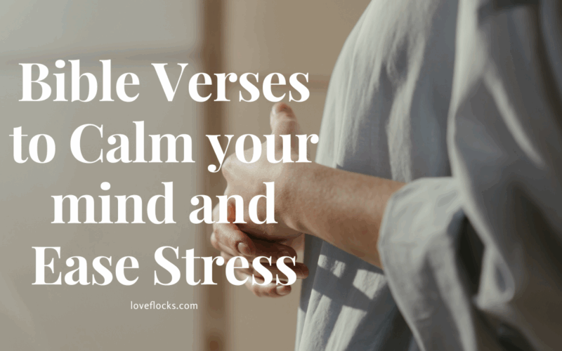 Bible Verses to Calm your mind and Ease Stress