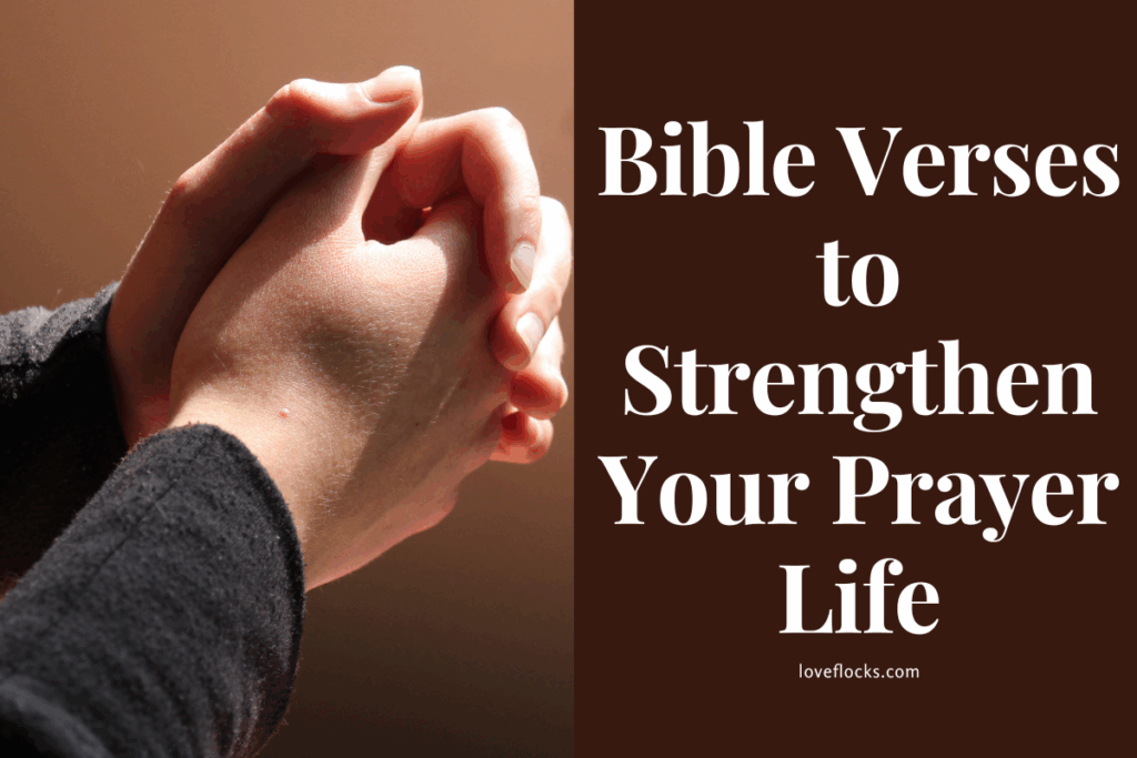 Bible Verses to Strengthen Your Prayer Life