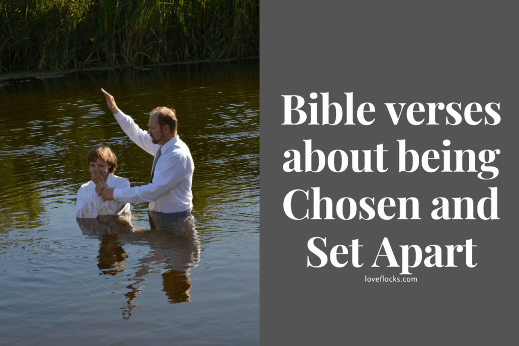Bible verses about being Chosen and Set Apart