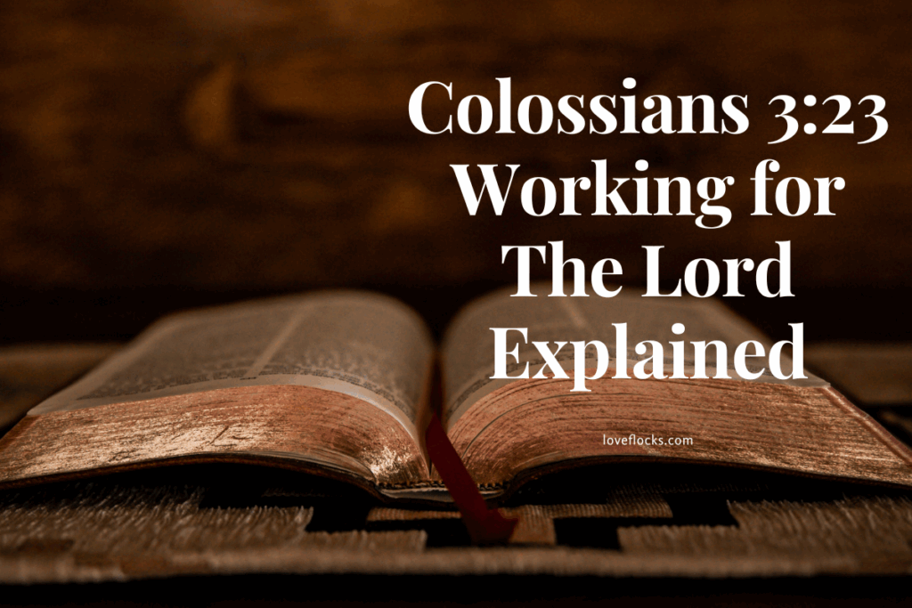 Colossians 3:23 Working for The Lord Explained