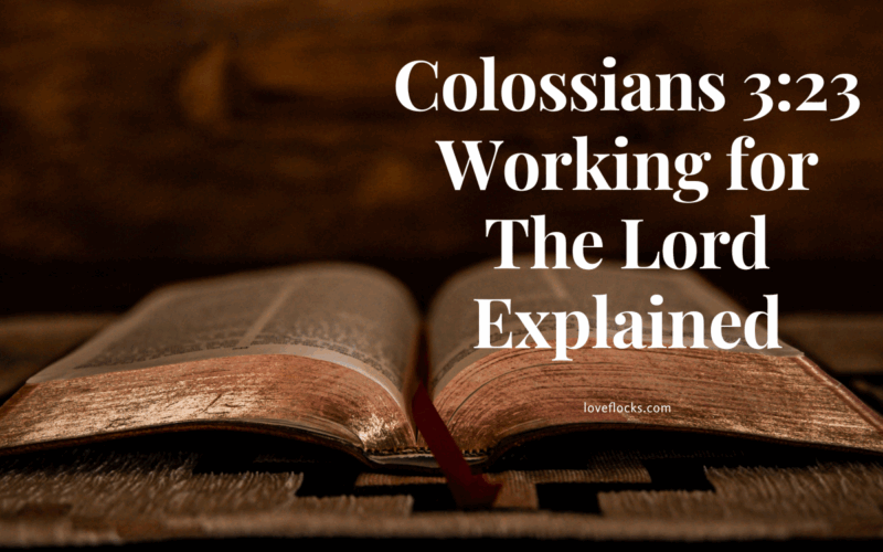 Colossians 3:23 Working for The Lord Explained