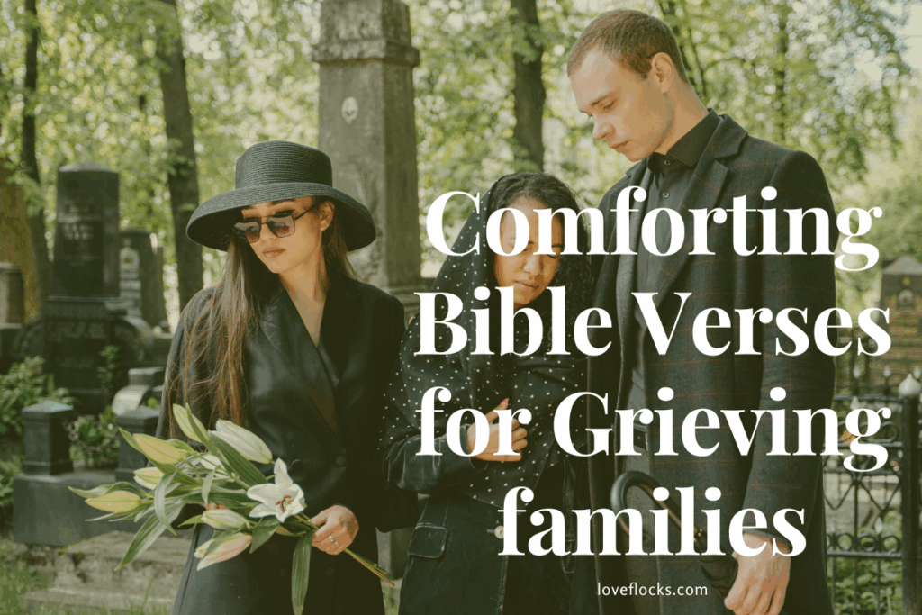 Comforting Bible Verses for Grieving families
