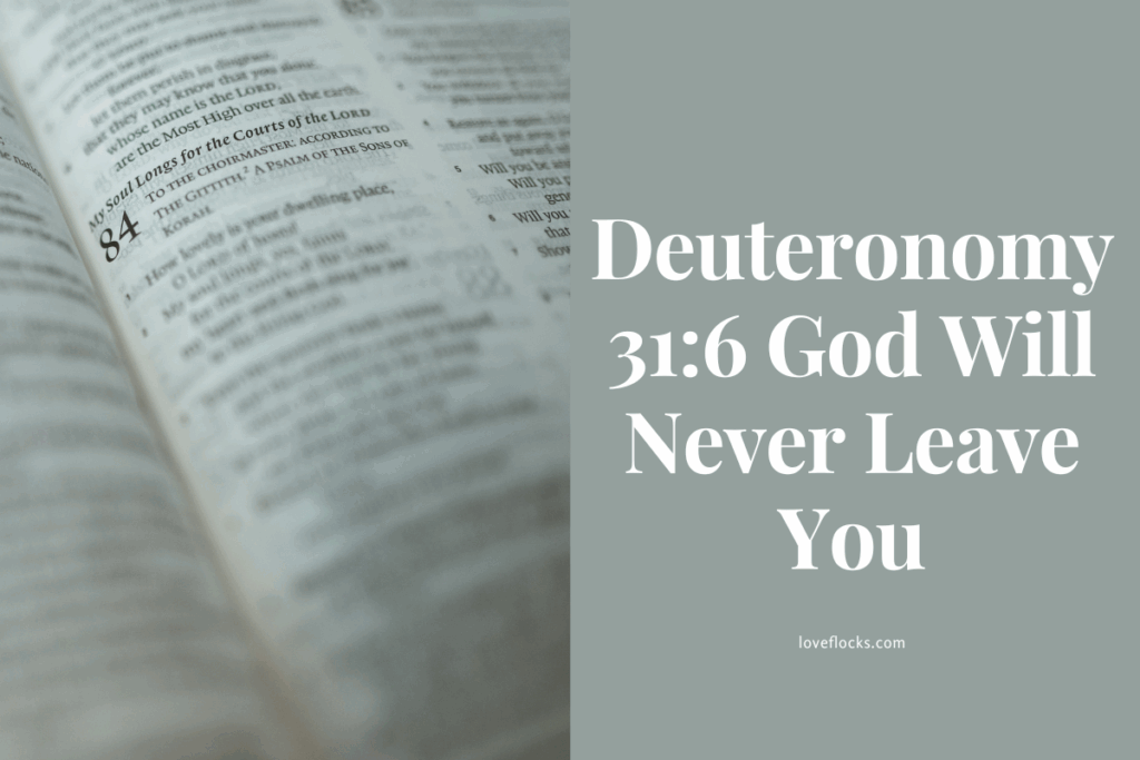 Deuteronomy 31:6 God Will Never Leave You