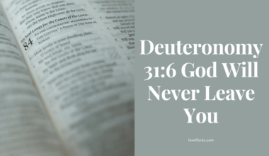 Deuteronomy 31:6 God Will Never Leave You